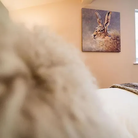 דירה The Rectory Rooms, 4 סקיפטון