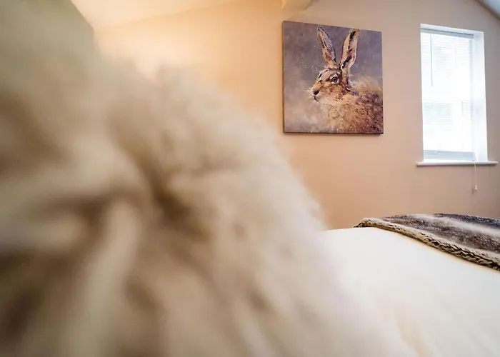 דירה The Rectory Rooms, 4 סקיפטון